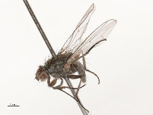  ( - CBG-A69635-C04)  @11 [ ] CreativeCommons - Attribution Share - Alike (2025) CBG Photography Group Centre for Biodiversity Genomics