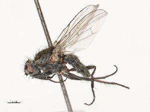  ( - CBG-A69635-C05)  @11 [ ] CreativeCommons - Attribution Share - Alike (2025) CBG Photography Group Centre for Biodiversity Genomics