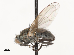  ( - CBG-A69635-C06)  @11 [ ] CreativeCommons - Attribution Share - Alike (2025) CBG Photography Group Centre for Biodiversity Genomics