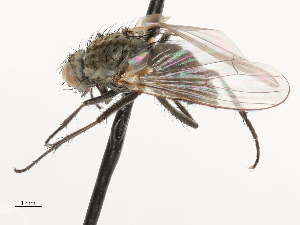  ( - CBG-A69635-C07)  @11 [ ] CreativeCommons - Attribution Share - Alike (2025) CBG Photography Group Centre for Biodiversity Genomics