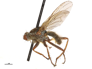  ( - CBG-A69635-H07)  @11 [ ] CreativeCommons - Attribution Share - Alike (2025) CBG Photography Group Centre for Biodiversity Genomics