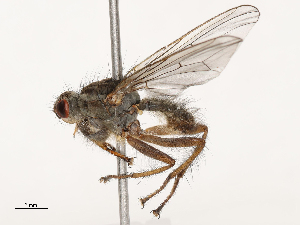  ( - CBG-A69635-H09)  @11 [ ] CreativeCommons - Attribution Share - Alike (2025) CBG Photography Group Centre for Biodiversity Genomics