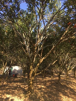  ( - NM23.1)  @11 [ ] Unspecified (default): All Rights Reserved  Unspecified Unspecified