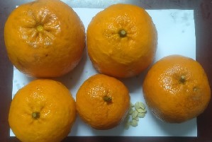  ( - NM23.1)  @11 [ ] Unspecified (default): All Rights Reserved  Unspecified Unspecified