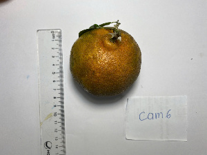  ( - MV23.1)  @11 [ ] Unspecified (default): All Rights Reserved  Unspecified Unspecified