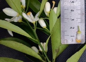  ( - NM23.1)  @11 [ ] Unspecified (default): All Rights Reserved  Unspecified Unspecified