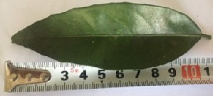  ( - NM23.1)  @11 [ ] Unspecified (default): All Rights Reserved  Unspecified Unspecified