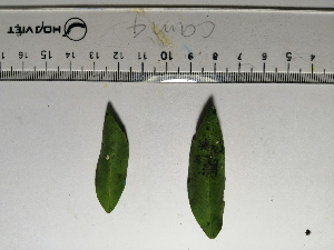  ( - MV23.1)  @11 [ ] Unspecified (default): All Rights Reserved  Unspecified Unspecified