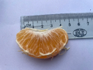  ( - MV23.1)  @11 [ ] Unspecified (default): All Rights Reserved  Unspecified Unspecified