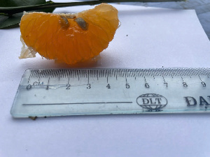  ( - MV23.1)  @11 [ ] Unspecified (default): All Rights Reserved  Unspecified Unspecified