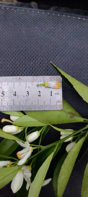  ( - MV23.1)  @11 [ ] Unspecified (default): All Rights Reserved  Unspecified Unspecified