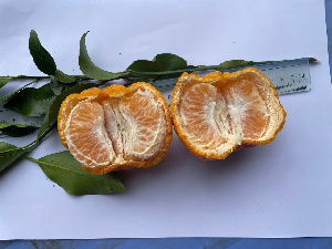  ( - MV23.1)  @11 [ ] Unspecified (default): All Rights Reserved  Unspecified Unspecified