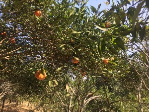  ( - NM23.1)  @11 [ ] Unspecified (default): All Rights Reserved  Unspecified Unspecified