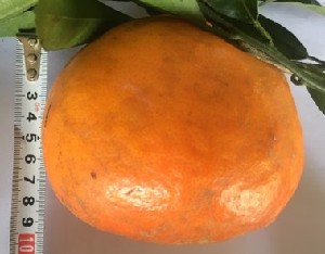  ( - NM23.1)  @11 [ ] Unspecified (default): All Rights Reserved  Unspecified Unspecified