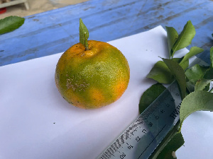  ( - MV23.1)  @11 [ ] Unspecified (default): All Rights Reserved  Unspecified Unspecified