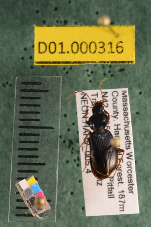  ( - NEON.BET.D01.000316)  @12 [ ] Copyright (2013) Cory Ritz National Ecological Observatory Network (NEON) http://www.neoninc.org/content/copyright