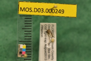  ( - MOS.D03.000249)  @12 [ ] Copyright (2010) National Ecological Observatory Network, Inc. National Ecological Observatory Network (NEON) http://www.neoninc.org/content/copyright