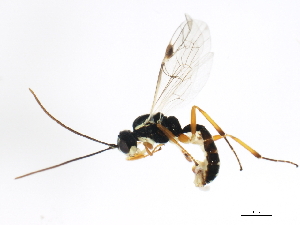  ( - 10PROBE-22023)  @12 [ ] CreativeCommons - Attribution (2010) CBG Photography Group Centre for Biodiversity Genomics