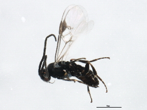  ( - BIOUG00761-H10)  @12 [ ] CreativeCommons - Attribution (2011) CBG Photography Group Centre for Biodiversity Genomics