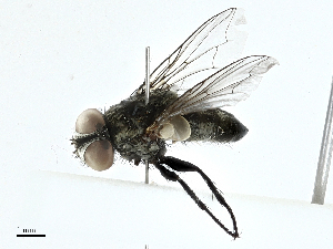  ( - BIOUG99492-H05)  @11 [ ] CreativeCommons - Attribution (2023) CBG Photography Group Centre for Biodiversity Genomics