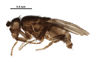  ( - BIOUG29825-B06)  @14 [ ] CreativeCommons - Attribution (2016) CBG Photography Group Centre for Biodiversity Genomics