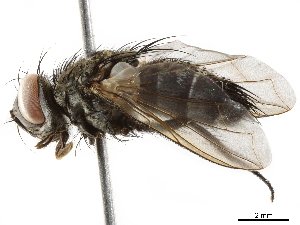  ( - BIOUG29910-F12)  @11 [ ] CreativeCommons - Attribution (2019) CBG Photography Group Centre for Biodiversity Genomics