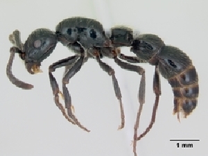  ( - CASENT0053863-D01)  @13 [ ] Unspecified (default): All Rights Reserved  Unspecified Unspecified