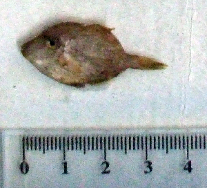  ( - StDi23P)  @12 [ ] Unspecified (default): All Rights Reserved  Unspecified Unspecified