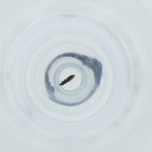  ( - JHGS_018_D7)  @11 [ ] by (2023) Wellcome Sanger Institute (Genome Research Limited) Wellcome Sanger Institute (Genome Research Limited)