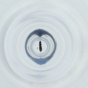  ( - JHGS_018_H7)  @11 [ ] by (2023) Wellcome Sanger Institute (Genome Research Limited) Wellcome Sanger Institute (Genome Research Limited)