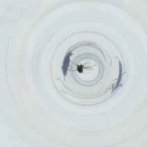  ( - JHGS_057_E10)  @11 [ ] by  Genome Research Ltd as Wellcome Sanger Institute Genome Research Limited operating as Wellcome Sanger Institute