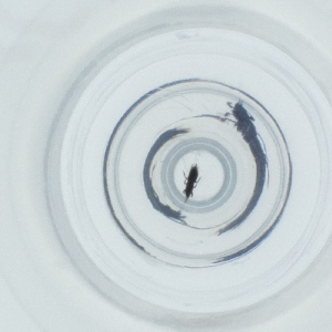  ( - JHGS_065_H2)  @11 [ ] by  Genome Research Ltd as Wellcome Sanger Institute Genome Research Limited operating as Wellcome Sanger Institute