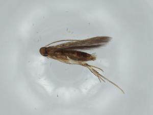  ( - BIOUG57873-D02)  @11 [ ] CreativeCommons - Attribution (2020) Centre for Biodiversity Genomics Centre for Biodiversity Genomics