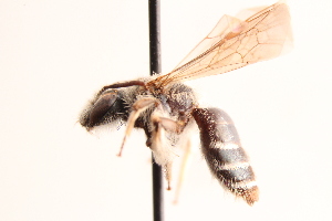  ( - UCSD.KJH.51136)  @11 [ ] by-nc (2025) Jessica Mullins Unspecified