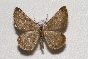  ( - CJSI2536)  @11 [ ] by-nc-sa (2021) Jürg Schmid Unspecified