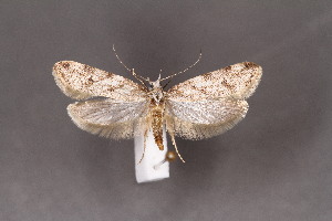  ( - CJSI2577)  @11 [ ] by-nc-sa (2021) J&uuml;rg Schmid Unspecified