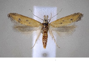  ( - CJSI2587)  @11 [ ] by-nc-sa (2021) J&uuml;rg Schmid Unspecified