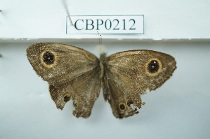  ( - UMKL-JSSW-212)  @12 [ ] Unspecified (default): All Rights Reserved  Unspecified Unspecified