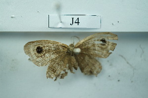  ( - UMKL-JSSW-J4)  @12 [ ] Unspecified (default): All Rights Reserved  Unspecified Unspecified