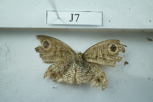  ( - UMKL-JSSW-J7)  @12 [ ] Unspecified (default): All Rights Reserved  Unspecified Unspecified