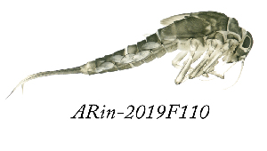  ( - ARin-2019F110)  @11 [ ] CreativeCommons - Attribution Non-Commercial (2019) Aki Rinne University of Oulu