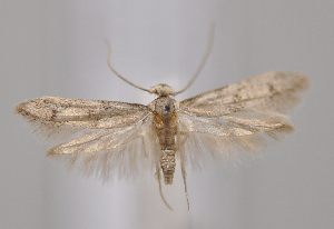  ( - MM28055)  @11 [ ] by-nc (2023) Jari Junnilainen Unspecified