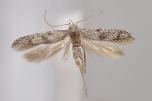  ( - MM28056)  @11 [ ] by-nc (2023) Jari Junnilainen Unspecified