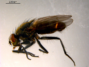  ( - 10PROBE-07537)  @12 [ ] CreativeCommons - Attribution (2011) CBG Photography Group Centre for Biodiversity Genomics