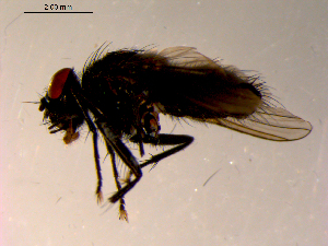  ( - 10PROBE-09002)  @12 [ ] CreativeCommons - Attribution (2011) CBG Photography Group Centre for Biodiversity Genomics