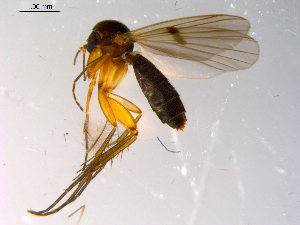  ( - 10PROBE-10308)  @11 [ ] CreativeCommons - Attribution (2011) CBG Photography Group Centre for Biodiversity Genomics