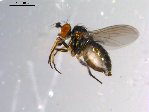  ( - 10PROBE-11142)  @12 [ ] CreativeCommons - Attribution (2011) CBG Photography Group Centre for Biodiversity Genomics