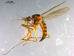 ( - 10PROBE-12289)  @13 [ ] CreativeCommons - Attribution (2011) CBG Photography Group Centre for Biodiversity Genomics