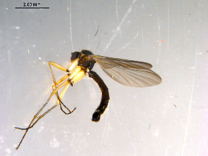  ( - 10PROBE-13907)  @12 [ ] CreativeCommons - Attribution (2011) CBG Photography Group Centre for Biodiversity Genomics