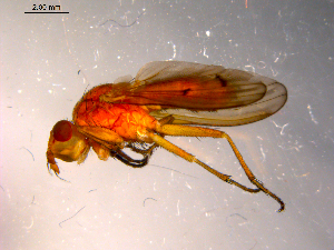  ( - 10PROBE-14121)  @12 [ ] CreativeCommons - Attribution (2011) CBG Photography Group Centre for Biodiversity Genomics